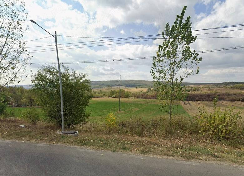 Teren de 1737 mp, în Plavia
