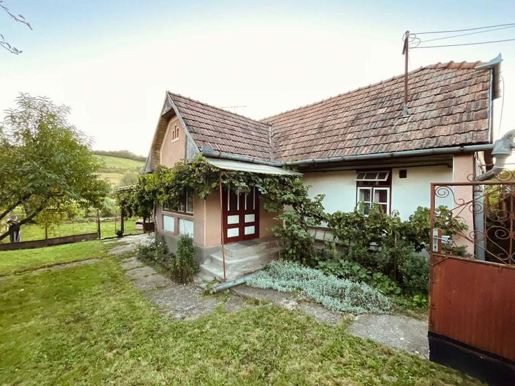 Casă cu 2 camere în Păsăreni