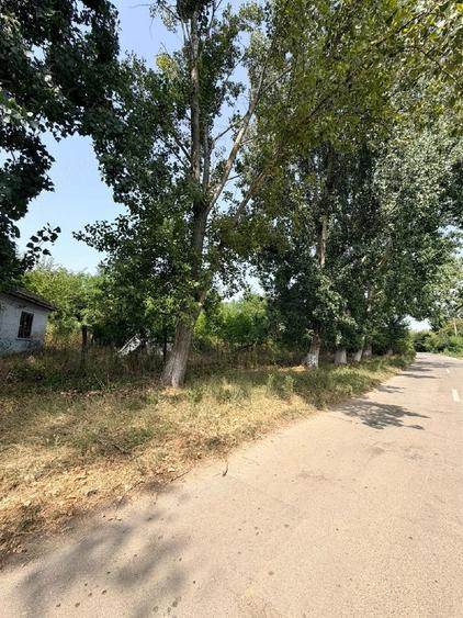 Casă cu 3 camere cu Teren 2000 Mp în Central