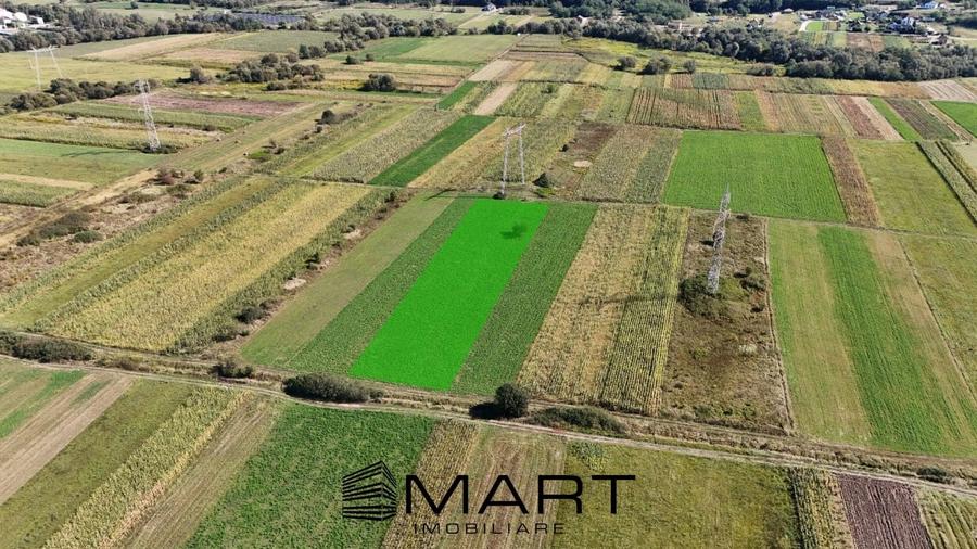 Teren extravilan de vânzare –5000 mp, Șelimbăr (Mohu) - 2