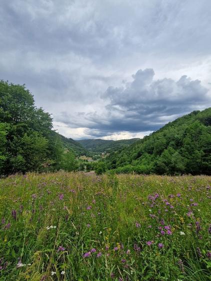 Ocazie! Teren intravilan Bulz-Munteni - 2