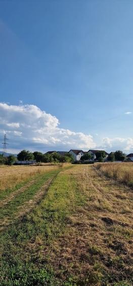 Comision 0! Teren 2500 mp. construcție bloc, Sibiu Frezorilor - 5