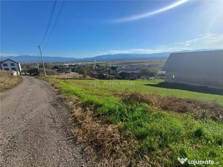 Teren intravilan cu proiect de casa autorizat in Sura Mare - 5