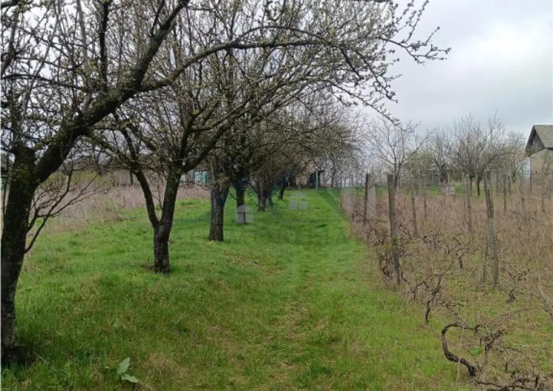 Aroneanu - Dorobant TEREN 46000mp PUZ realizat 59 de case la - 3