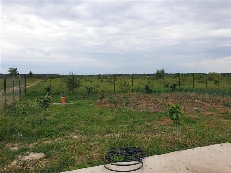 Teren intravilan cu cabana in Pausa - 7