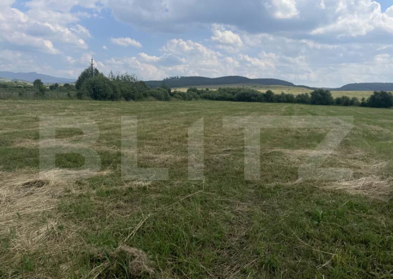 Teren extravilan 1200 mp Dorolea, aproape de Manastire - 2