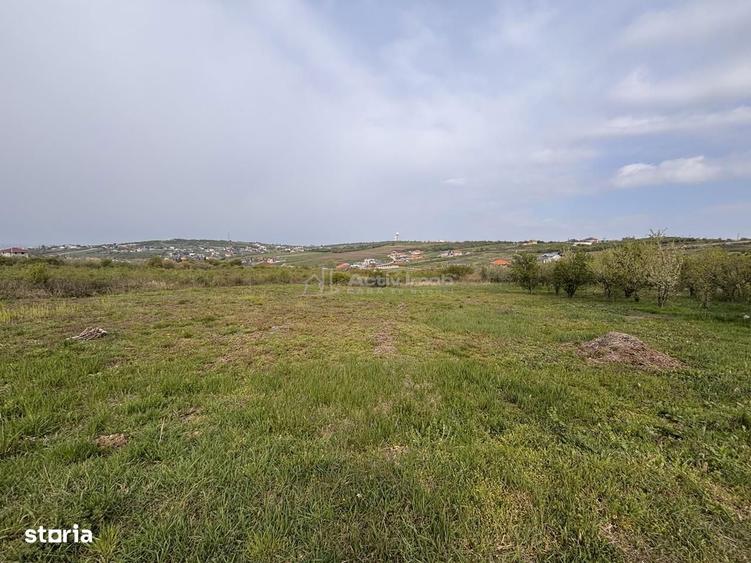 Teren pe colt in Paleu 800 mp ideali pentru casa ta intr-o zona lini - 2