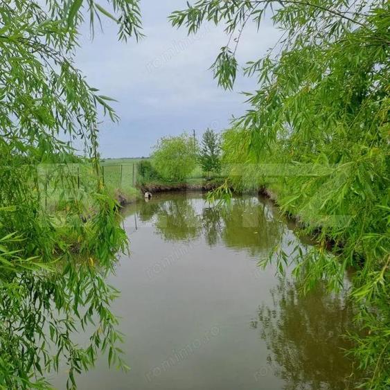 Casa cu teren generos ?i balta de pescuit Gae?ti - 10