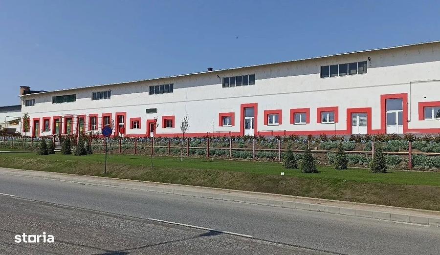 Inchiriez complex comercial in Husi, Jud. Vaslui ID: 44580 - 8