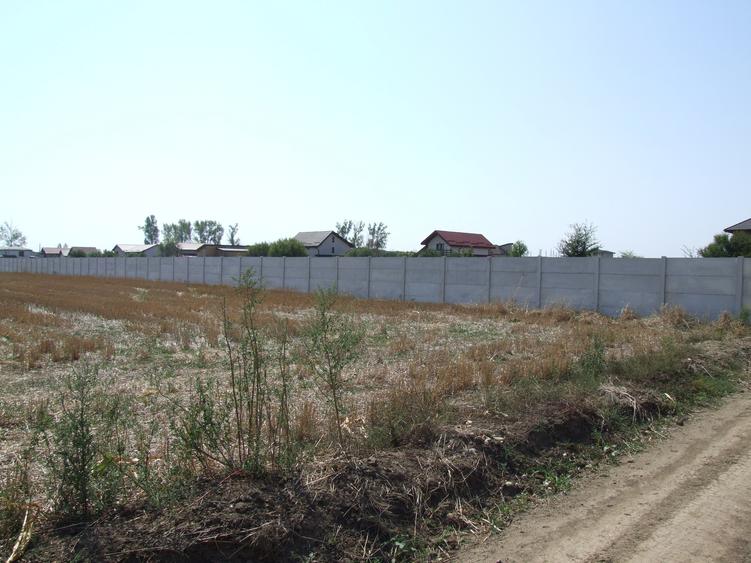 Domnesti-Teghes, teren 9.817 mp strada Pinului - 2