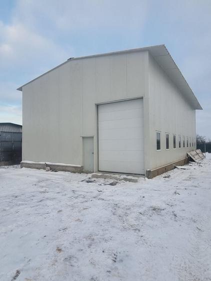 Magurele,hala 200 mp ( 10x20), inaltime h=6 m, 600 mp teren, - 6