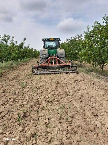 Vanzare plantatie/ferma de nuci, 2000 pomi, 14ha, Prahova - 4
