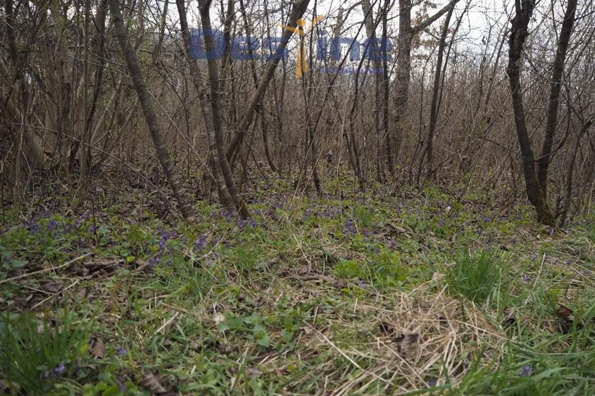 VAND CASA DEMOLABILA+6700 MP TEREN,PRIVELISTE PANORAMICA,DEJ - 6