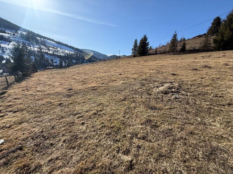 Teren de vânzare intravilan în Arieșeni (Alba) - 5