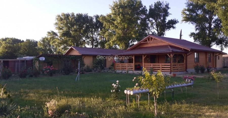 HORIA - 3 CAMERE ,SUPRAFATA 100 MP,TEREN 3000 MP CU DESCHIDE HORIA - 3 CAMERE ,SUPRAFATA 100 MP,TEREN 3000 MP CU DESCHIDE