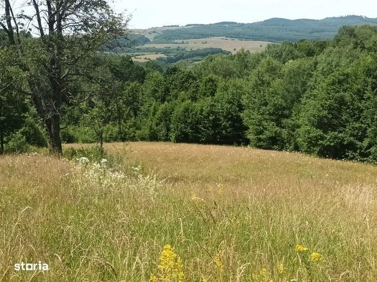 Teren in Capet, Sovata 2500mp - 2