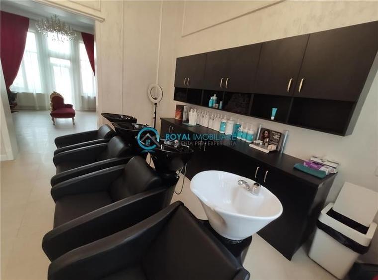 Royal Imobiliare -vanzari vile zona Ultracentral - 14