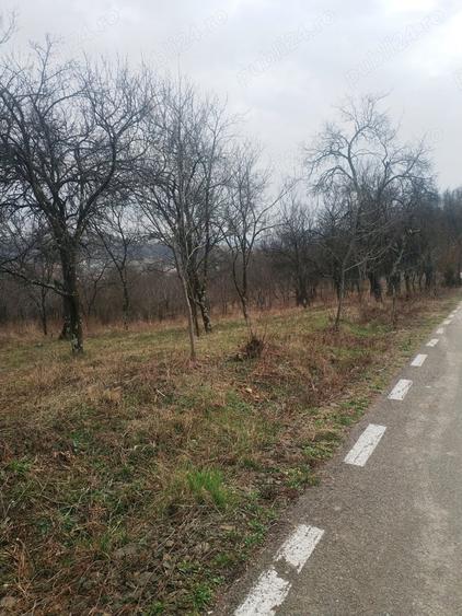 Teren intravilan 2400mp Criseni Salaj - 1