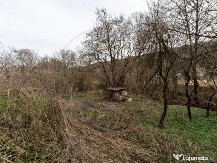Teren de vanzare 1221 mp in Budeasa Mica, zona lini? - 4