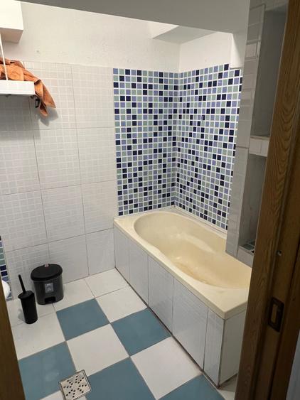 garsoniera timisoara zona Balcescu - 2