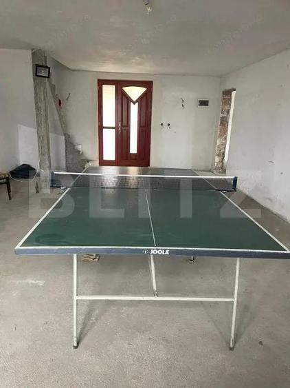 Casa 310 mp utili, 2900 mp teren, zona Insula, Campia Turzii - 3