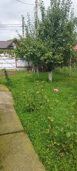 Vand casa + anexe si gradina - 8