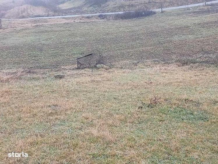 Direct de la proprietar - teren intravilan 820mp Proselnici - 3