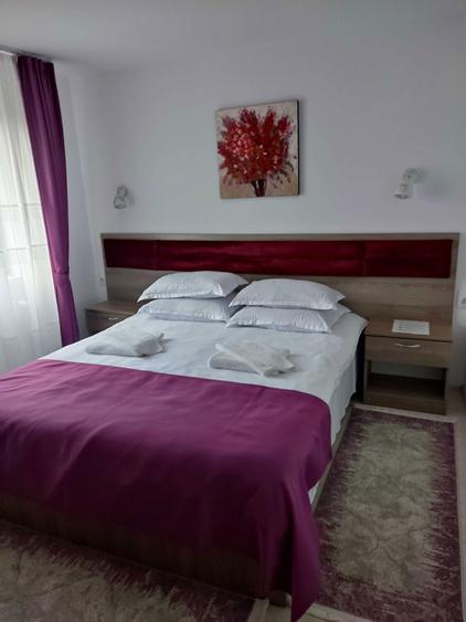 Pensiune si casa cu teren in Bucovina - 8