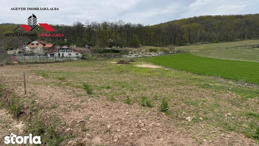 Teren intravilan 833 mp de vanzare in Ampoita Jud Alba - 1