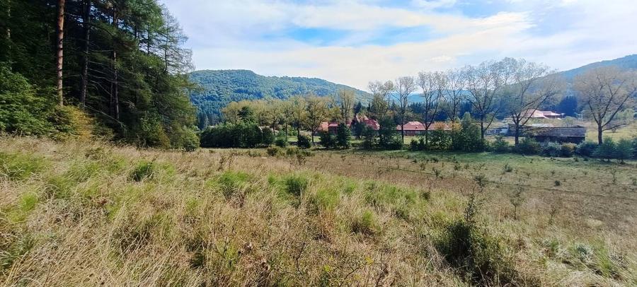 teren in zona Bradet-Sacele - 3