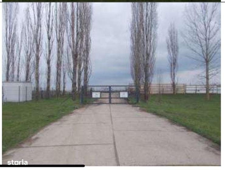 HUB Logistic intermodal 9,1 ha acces direct la DN 59/E70 JEBEL ,Timis - 3