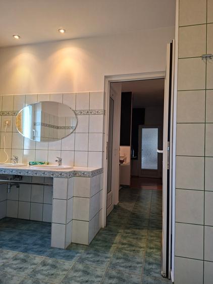 Langa Parc Padurice, pentru locuit sau afacere - 11