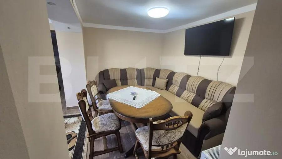 Casa cu 2 camere, 65 mp, teren 2910 mp, in Viile Satu Mare - 10