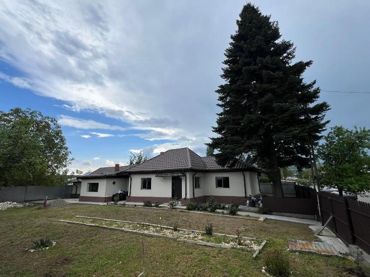 Vanzare Teren intravilan 4971 mp și Casă renovată complet exterior în 2024 - 4
