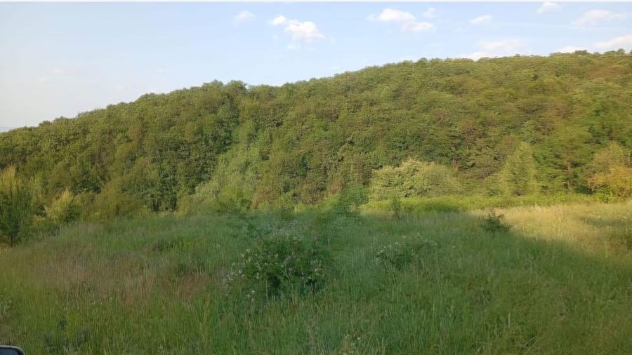 VANZARE TEREN 34500 mp localitatea Salisca, comuna Catcau, jud. Cluj - 3