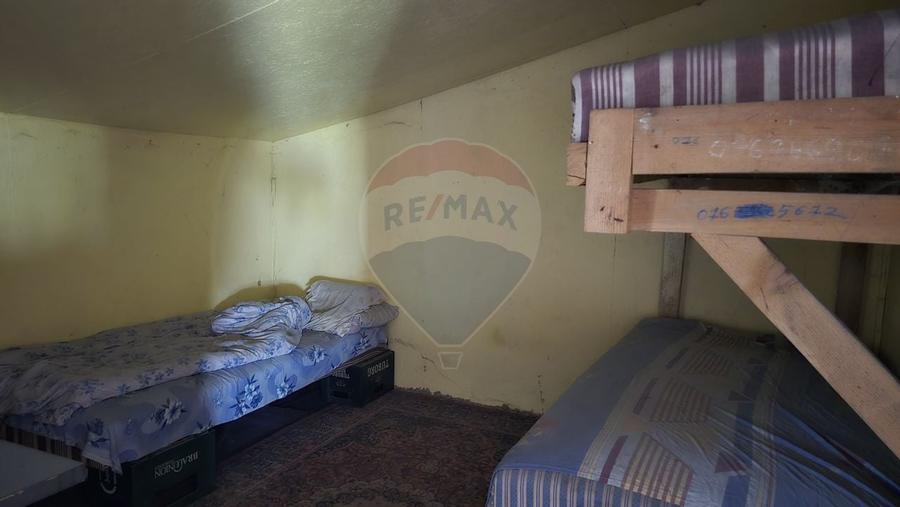 Hale pentru depozitare(lemn si metalica) in zona Giulesti - 4