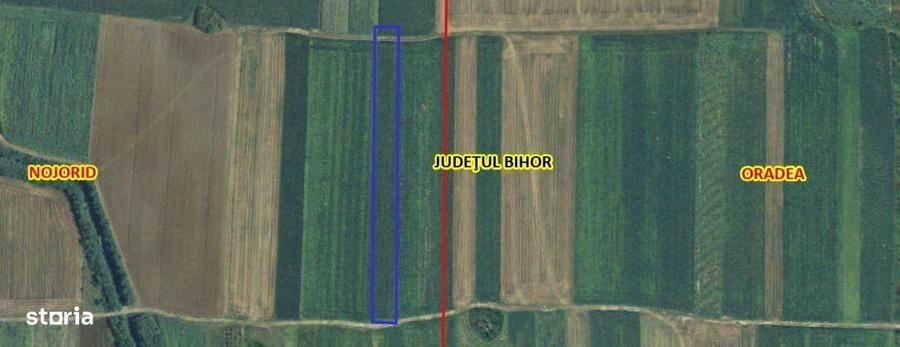 Teren Extravilan Nojorid - 1