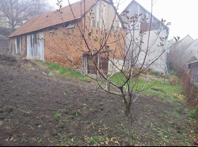 Casa individuala de vanzare curte si gradina suprafata 1500mp - 8