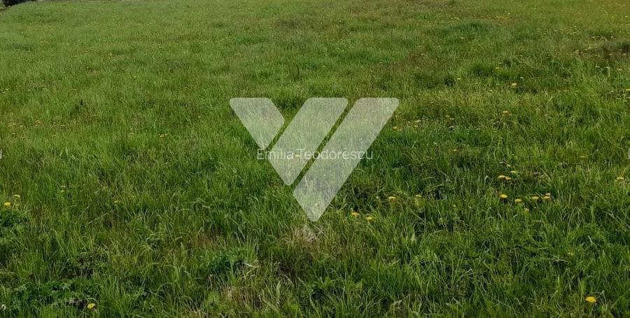 Teren Intravilan 750 mp in Selimbar cu PUZ si deschidere 22 ml