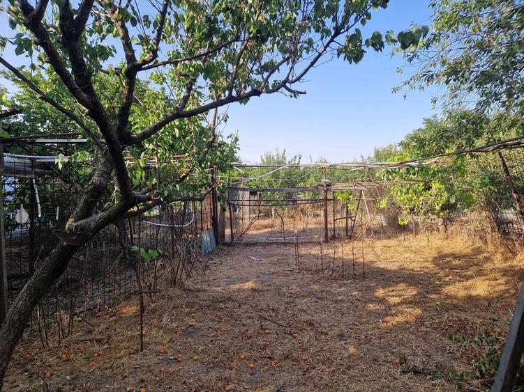 Particular: 1000mp teren deschidere lac Tasaul cu casa veche - 2