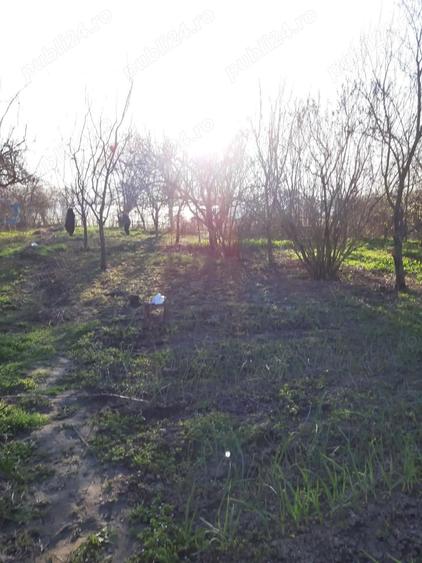 De vanzare casa cu teren in Vara?ti jude?ul Giurgiu - 1