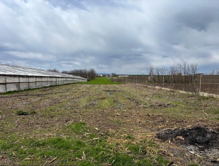 Teren Intravilan Corod jud. Galati - 61 ari - 2