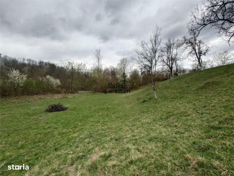 10 000 mp teren intravilan cu priveliste - 3