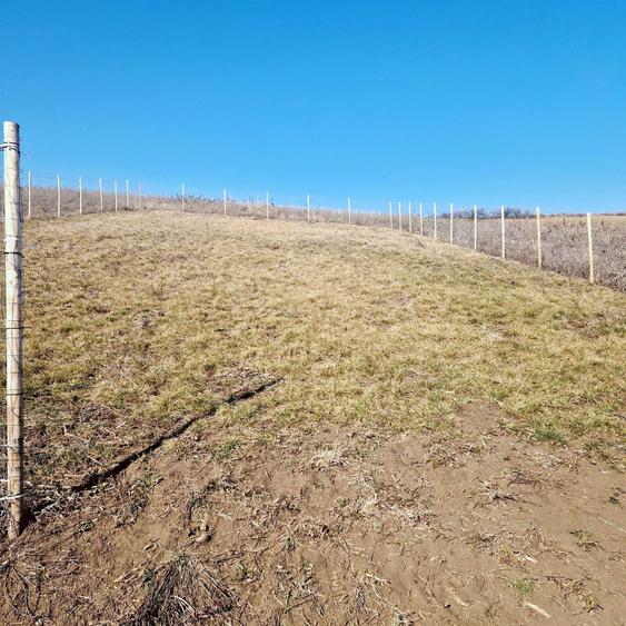 Teren intravilan Sura Mare 504mp - 3