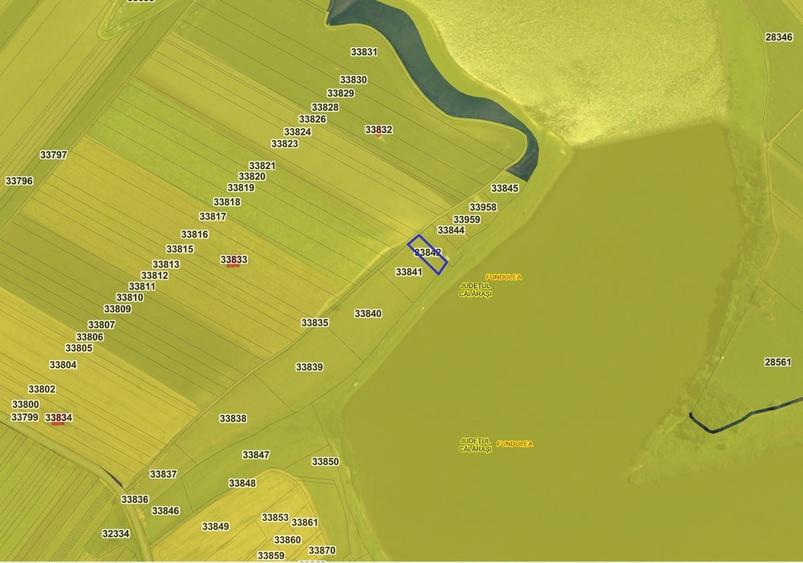 Teren 1001 mp intravilan Fundulea pe malul lacului - 3