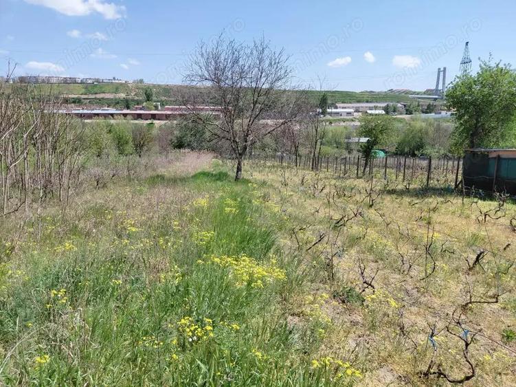 Teren intravilan 3.250 mp in File?ti Ideal pentru casa sau investi?ie! - 2