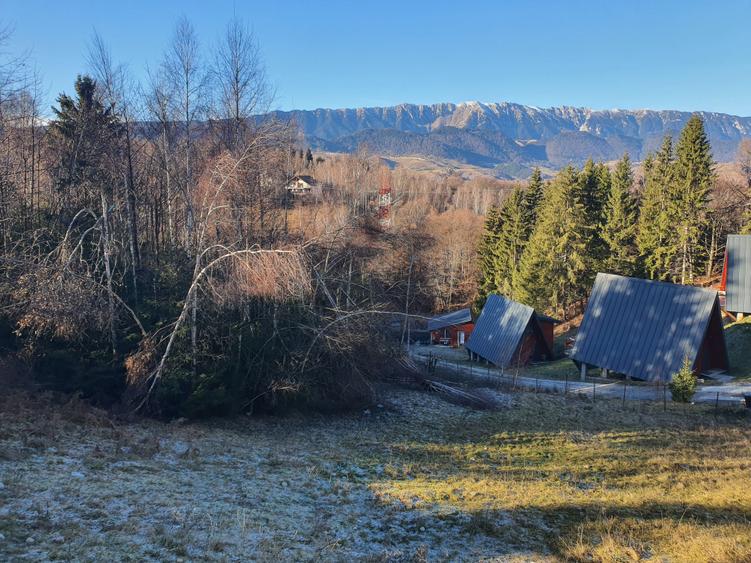 Teren Bran – Moieciu de jos - 1