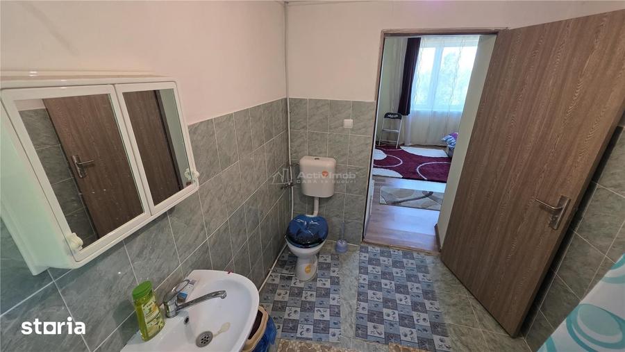 Petrilova | Casa cu 4400MP Teren | 9 Incaperi | ZERO COMISION - 18