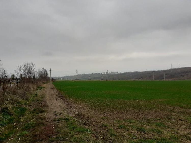 Teren agricol extravilan Onesti, jud. Bacau - 2