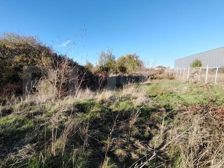 Teren intravilan, Carcea 3081 mp, zona Metro / Robest - 4